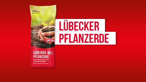 Lübecker Pflanzerde