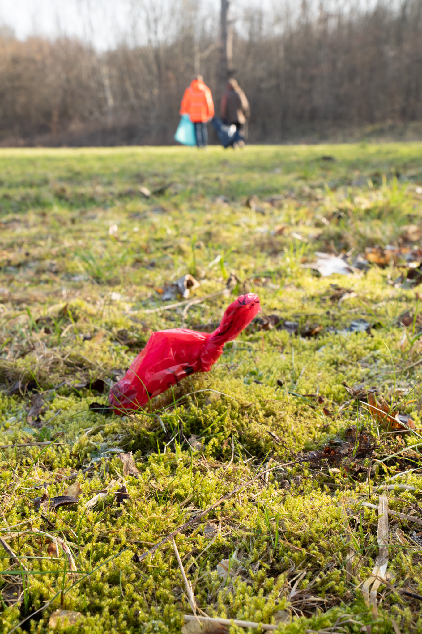 Hundekotbeuel sind neben Zigaretten ein häufiger Fund
